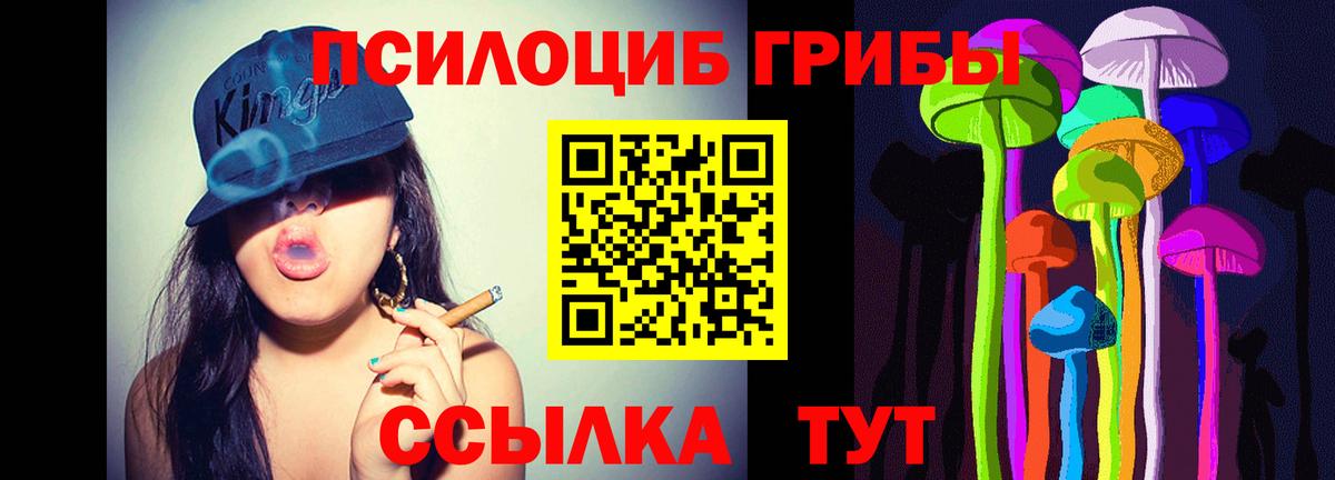 Псилоцибиновые грибы Psilocybine cubensis Лениногорск