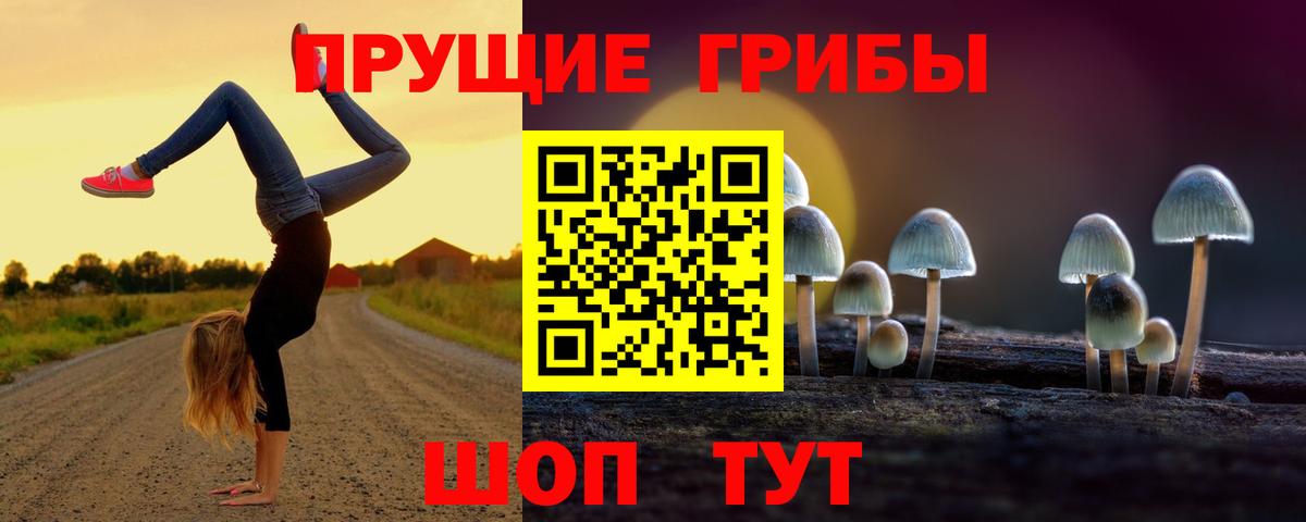 Галлюциногенные грибы Magic Shrooms  Вход с VPN  Галлюциногенные грибы Cubensis  Лениногорск 